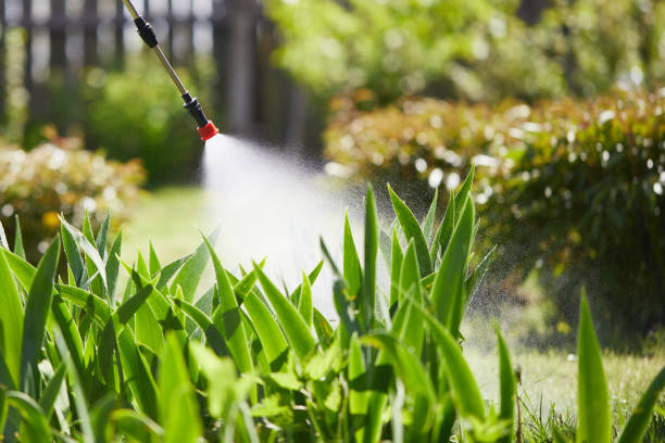 24/7 Emergency Cockroach Control experts in Hagerstown, IN